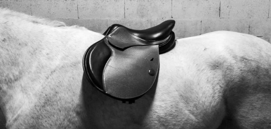 KIT SELLE MIXTE CHEVAL - Selles et accessoires - Alliance Elevage
