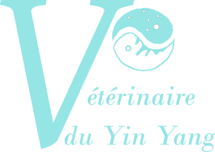 logo véto yin yang