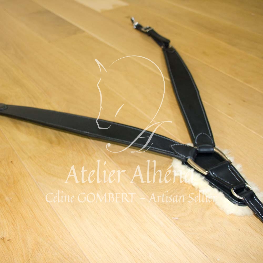 collier de chasse EDEN (1)