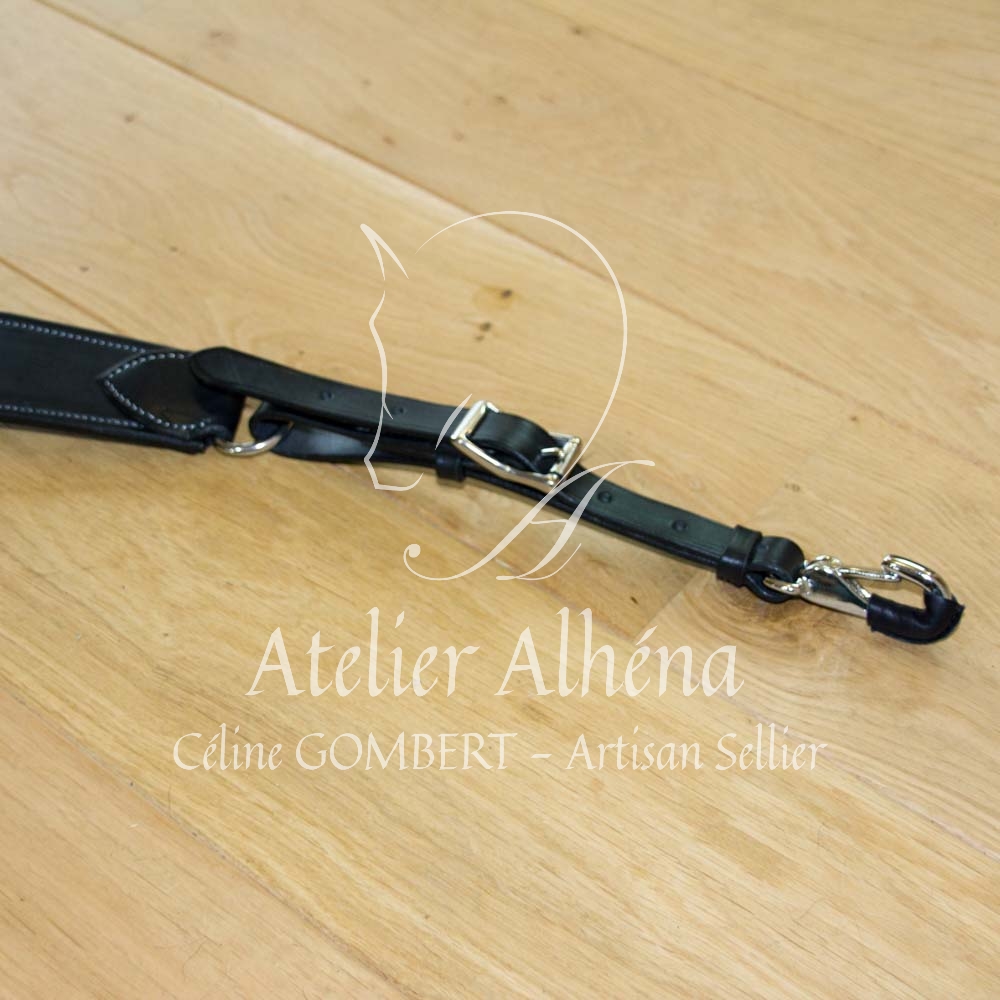 collier de chasse EDEN (4)