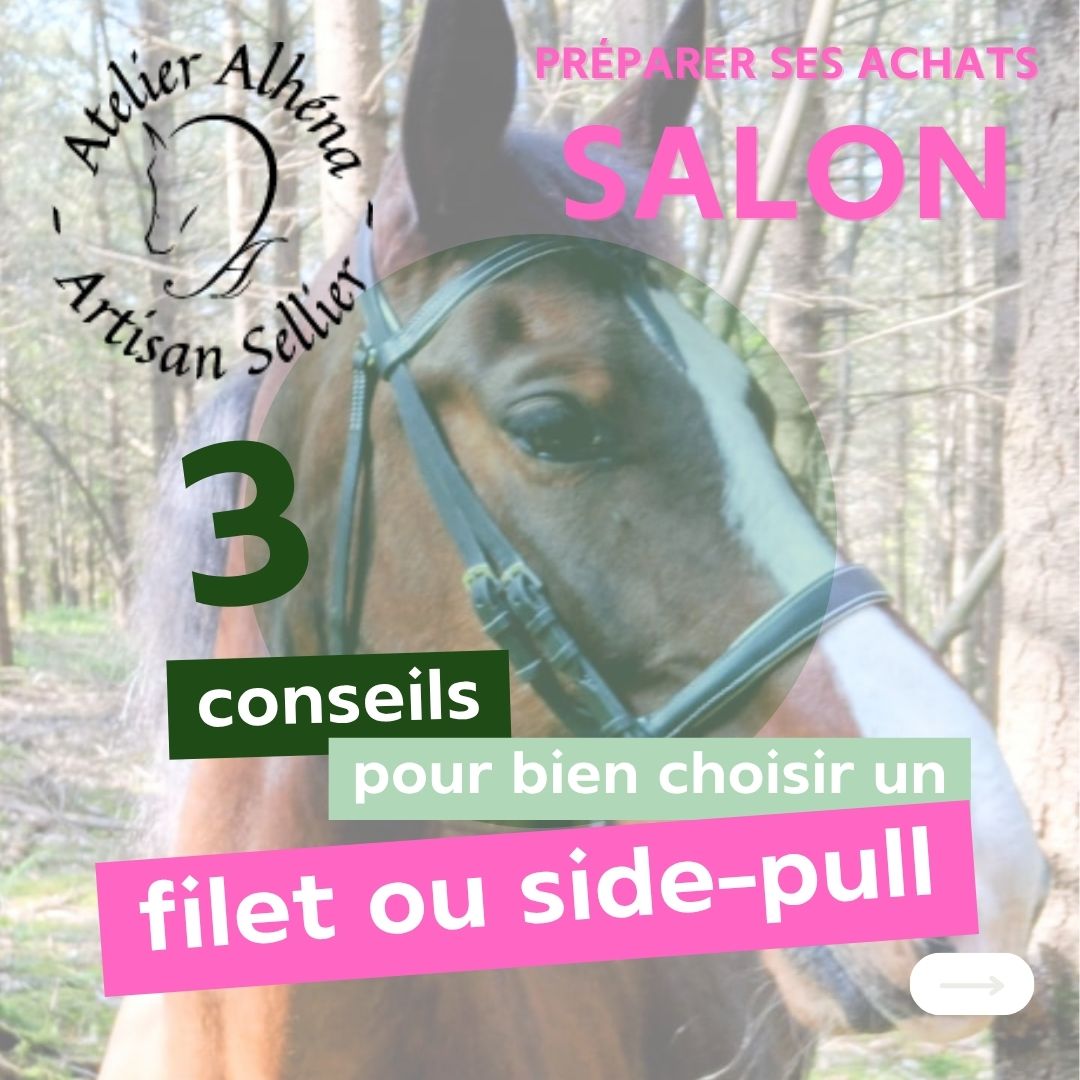 3 conseils pour choisir un filet ou side-pull