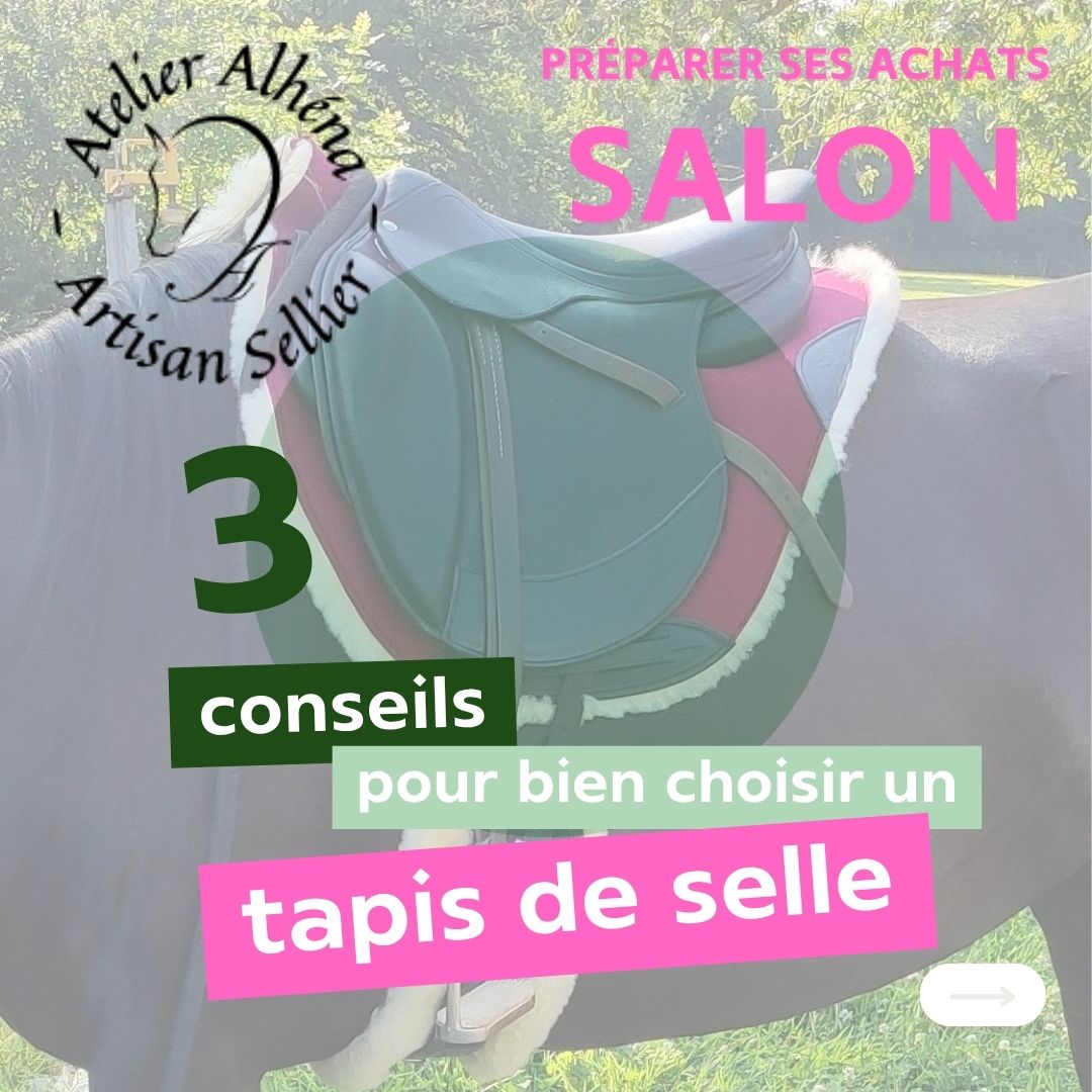 3 conseils pour choisir un tapis de selle