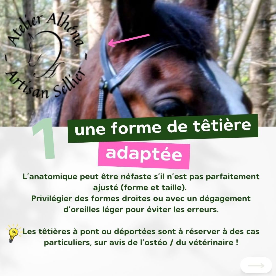 3 conseils pour choisir un filet ou side-pull - 1