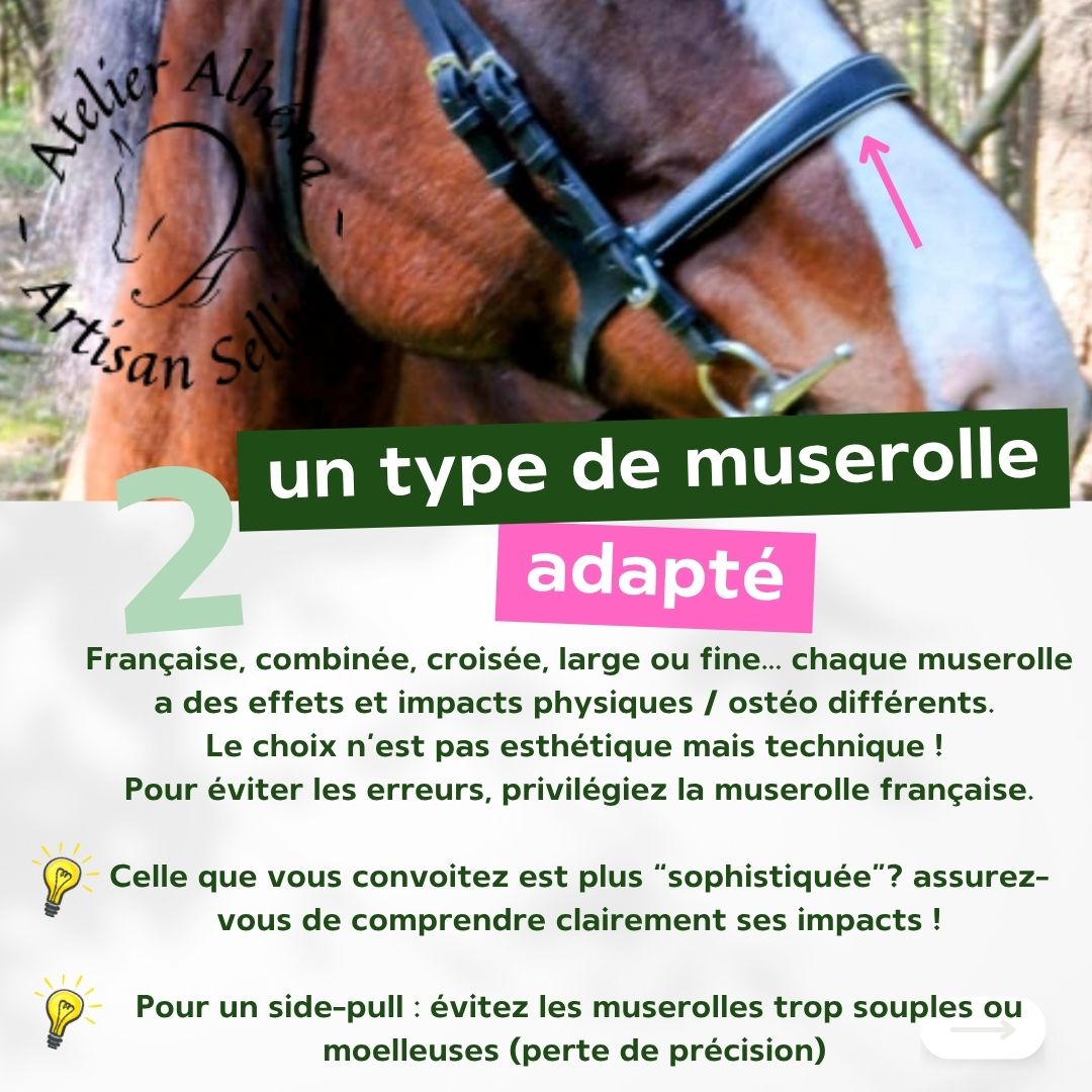 3 conseils pour choisir un filet ou side-pull - 2