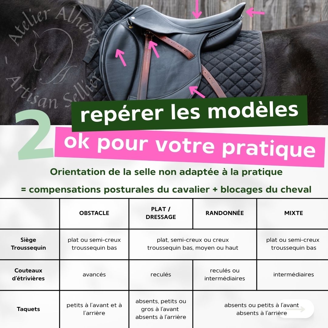 3 conseils pour choisir une selle - 2