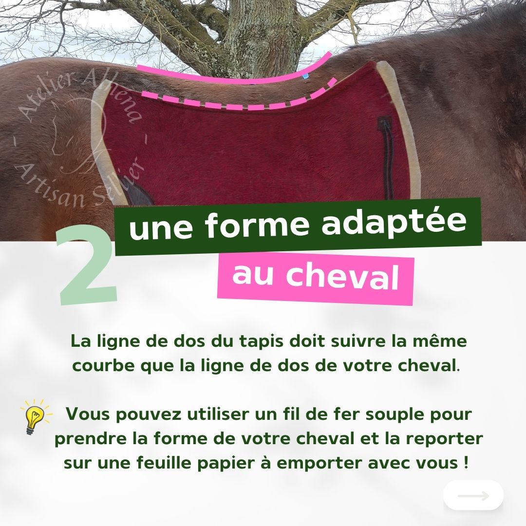 3 conseils pour choisir un tapis de selle - 2