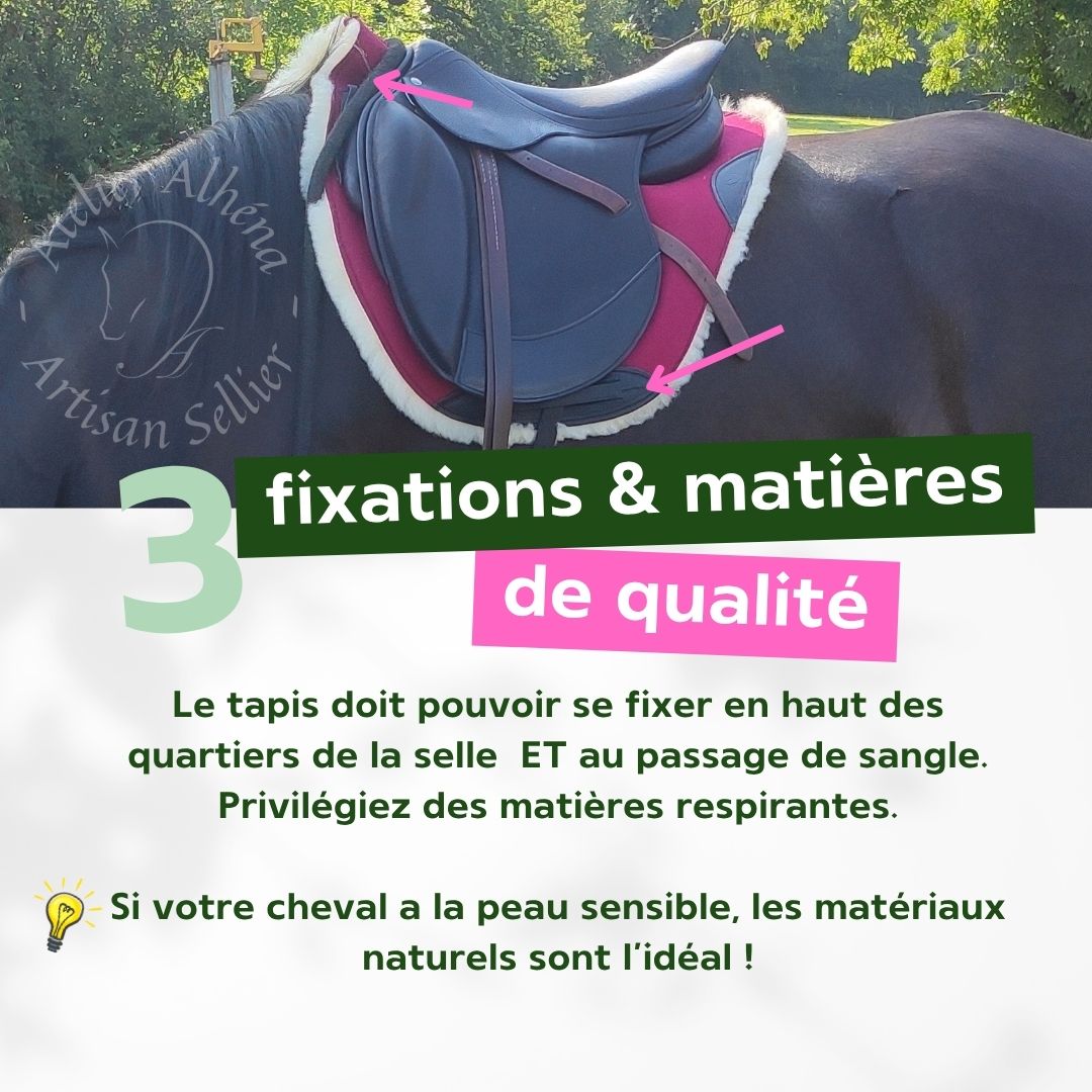 3 conseils pour choisir un tapis de selle - 3