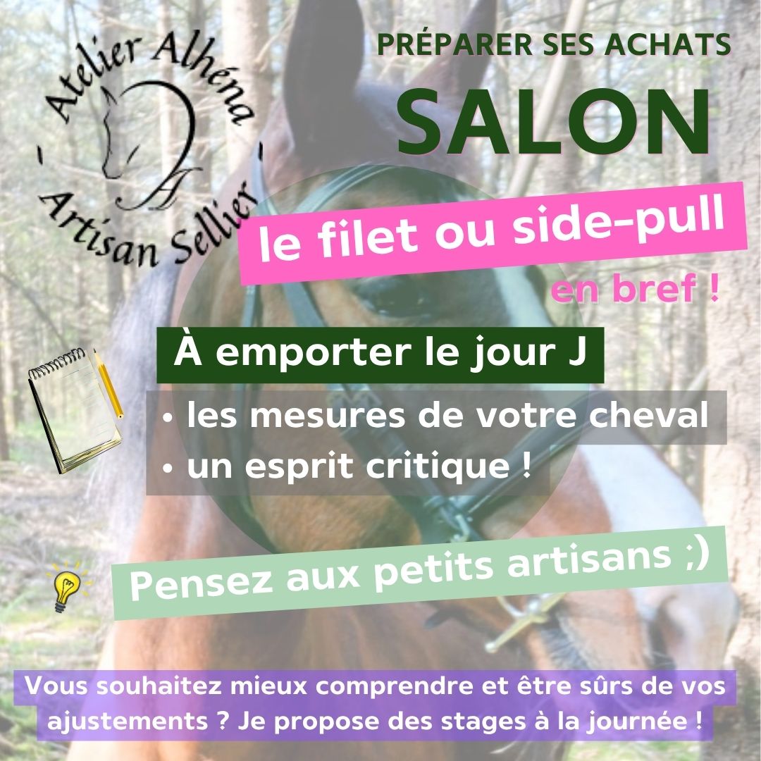 3 conseils pour choisir un filet ou side-pull - bilan