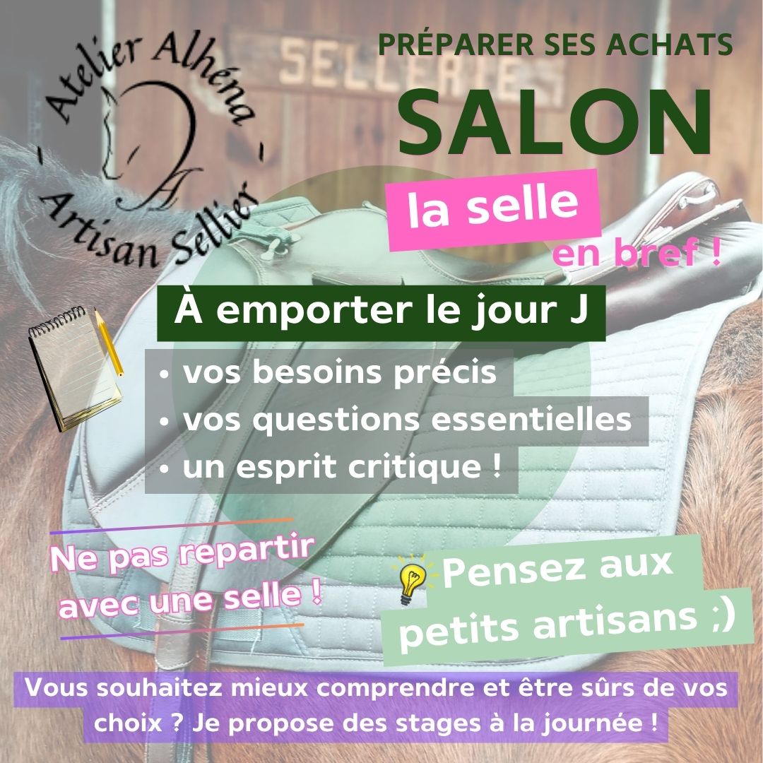3 conseils pour choisir une selle - bilan