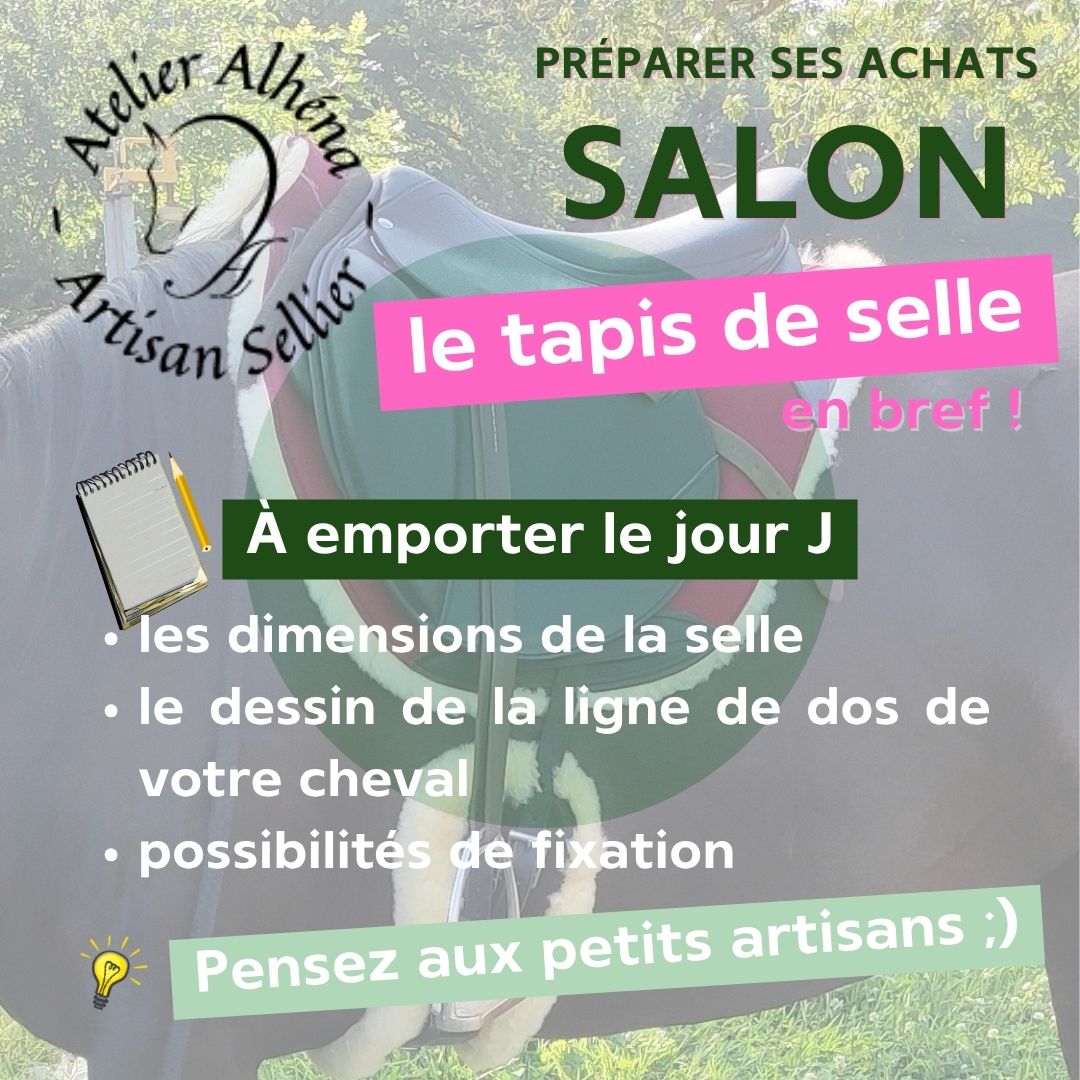 3 conseils pour choisir un tapis de selle - bilan