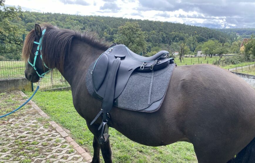 selle TOUNDRA_HOSVI- photo client